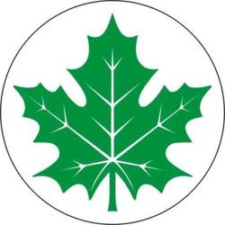 Naklejka na auto - Zielony liść