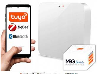 Sterownik Urządzenia ZIGBEE + Bluetooth GW006