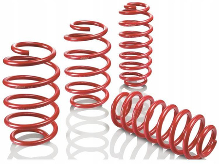 Zestaw sprężyn Sportline E20-25-048-05-22