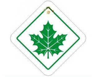 Info system "Zielony liść" - Zawieszka na szybę (przyssawka)