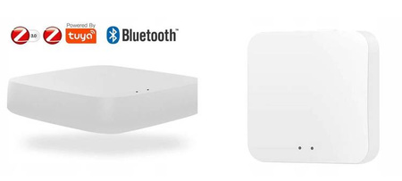 Sterownik Urządzenia ZIGBEE + Bluetooth GW006