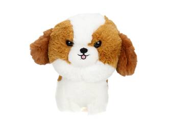 Maskotka Teddy Pets, Shih Tzu